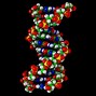 Image result for DNA and Genes for Kids