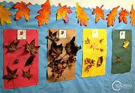 Image result for Preschool Fall Leaves Worksheet