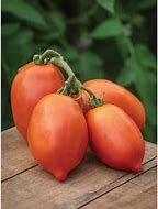 Image result for Big Mama Hybrid Tomato