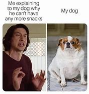 Image result for Funny Big Dog Memes