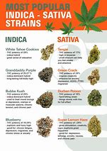 Image result for All Types of Weed
