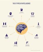 Image result for Human of Intelligence Chart