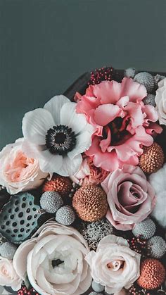 89 Iphone Hintergrundbilder Rosa Blumen Kostenloser | Miladinsight
