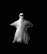 Image result for Animal Ghost GIF