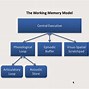 Image result for What Is Working Memory