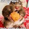 Image result for Funny Hamster Memes Clean