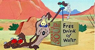 Image result for Wily Coyote Acme