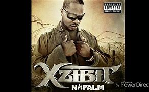 Image result for Xzibit Discography