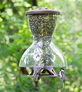 Image result for Bird Feeder