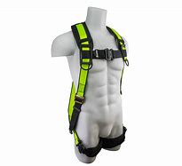 Image result for Safety Harness Vest