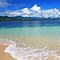 Image result for Sandy Beach Background
