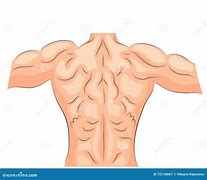 Image result for Back Muscles Cartoon