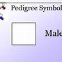 Image result for Pedigree 1