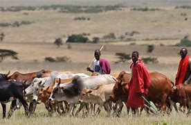 Image result for Fulani Herdsmen