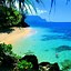 Image result for Wallpaper for iPhone 8 Plus Hawaii Theme