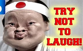 Image result for Try Not to Laugh Meme Sheep