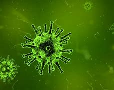 Image result for Samy Worm Virus