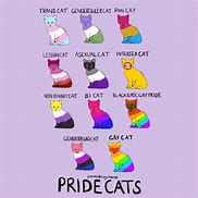 Image result for LGBT iPhone Case Cats