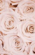 Image result for Rose Gold Preppy Wallpaper