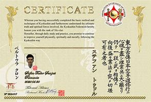 Image result for Certificate Karate Kyokushin
