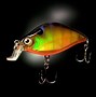 Image result for Rapala Lures Bass