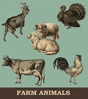 Image result for Free Stock Images Vintage Animals