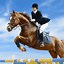 Image result for Show Jumping Photography Horse
