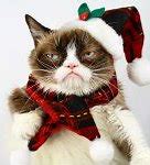 Image result for Happy New Year Grumpy Cat Meme