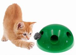 Image result for Petco Cat Pop Out Toys