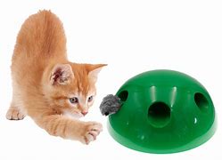 Image result for Cat Play Toys