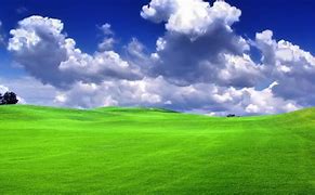 Image result for Win XP Wallpaper