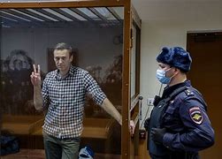 Image result for Alexei Navalny Court