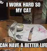 Image result for Cat Memes About Work