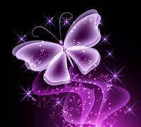 Image result for Neon Butterflies