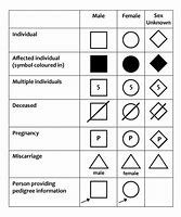 Image result for Pedigree Chart Symbols