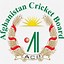 Image result for Custom Cricket Logo
