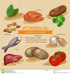 alimentos de vitamina b vitamin b3 vitamins and minerals foods vector flat icons alimentos de vitamina b vitamin b3 vitamins and minerals foods vector flat icons
