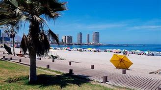 Image result for iquique�o