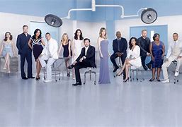 Image result for Grey's Anatomy Season 9