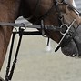 Image result for Bit in Horses Mouth