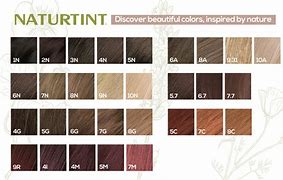 Image result for Naturtint Permanent Hair Color Chart