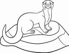 Image result for Printable Otter Pictures
