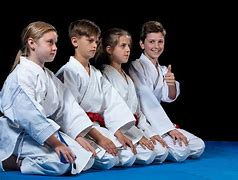 Image result for High School Karate Men