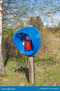 Image result for Forest Phone Box