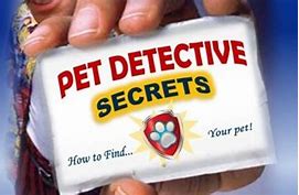 Image result for Asspolutly Pet Detective