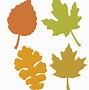Image result for Grape Vines and Leaves