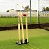 Image result for Side View of Cricket Stumps