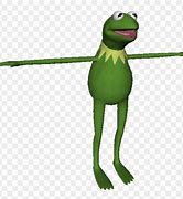 Image result for Kermit T-Pose