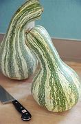 Image result for Green Striped Cushaw Squash