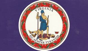 Image result for Original Virginia State Flag